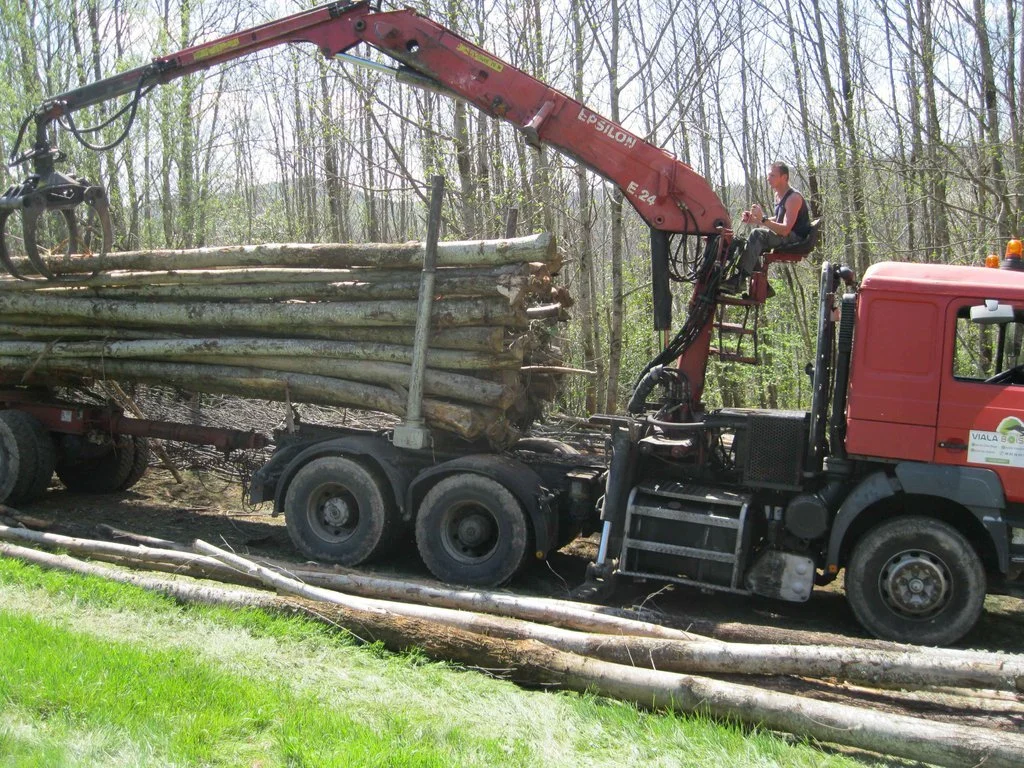 CHATAIGNIER-EN-GRUME-CAMION-DE-50-STERES.webp Camion de bois en grume – Châtaignier – 50 stères – Image 1