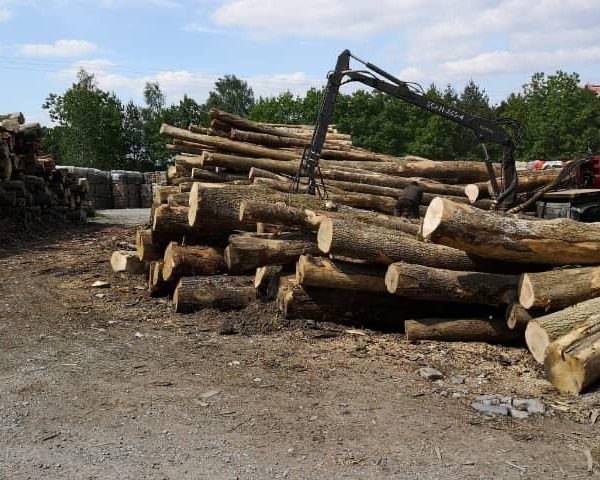Camion de bois ultra sec en grume – Hêtre, Chêne, Charme – 30 stères