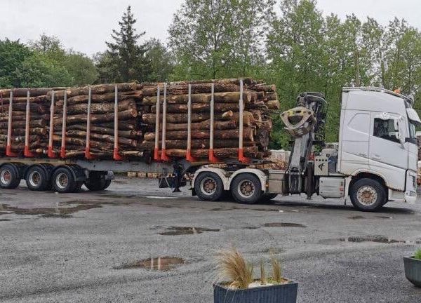 Camion de bois en grume – Hêtre, Chêne, Charme – 50 stères