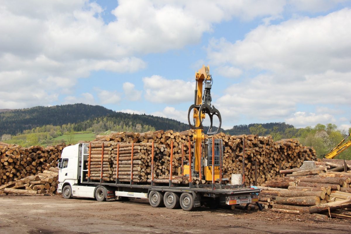 Camion de bois en grume – Hêtre, Chêne, Charme – 60 stères – Image 1