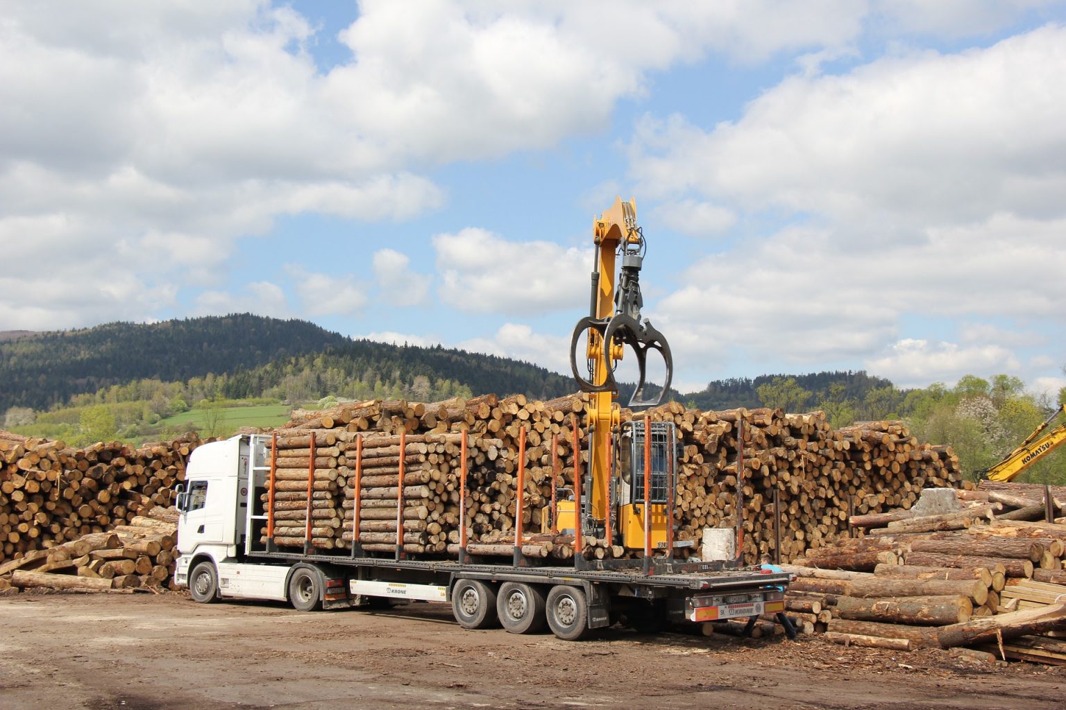 mnmm.jpg Camion de bois en grume – Hêtre, Chêne, Charme – 60 stères – Image 1